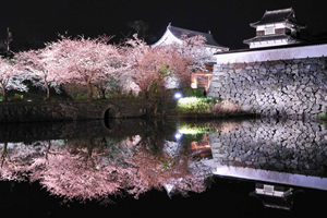イメージ：福岡城さくらまつりのご案内