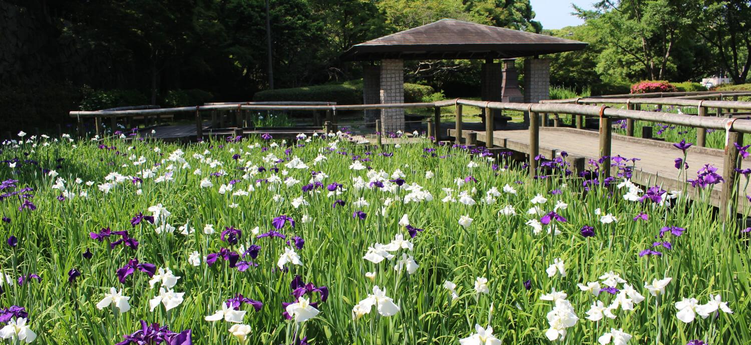 舞鶴公園 緑のまちづくり 公益財団法人 福岡市緑のまちづくり協会