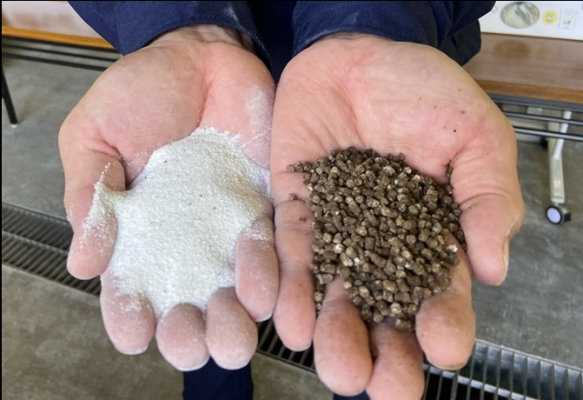 下水汚泥から取り出した「再生リン」（左）と、商品化されたエコ肥料（右）