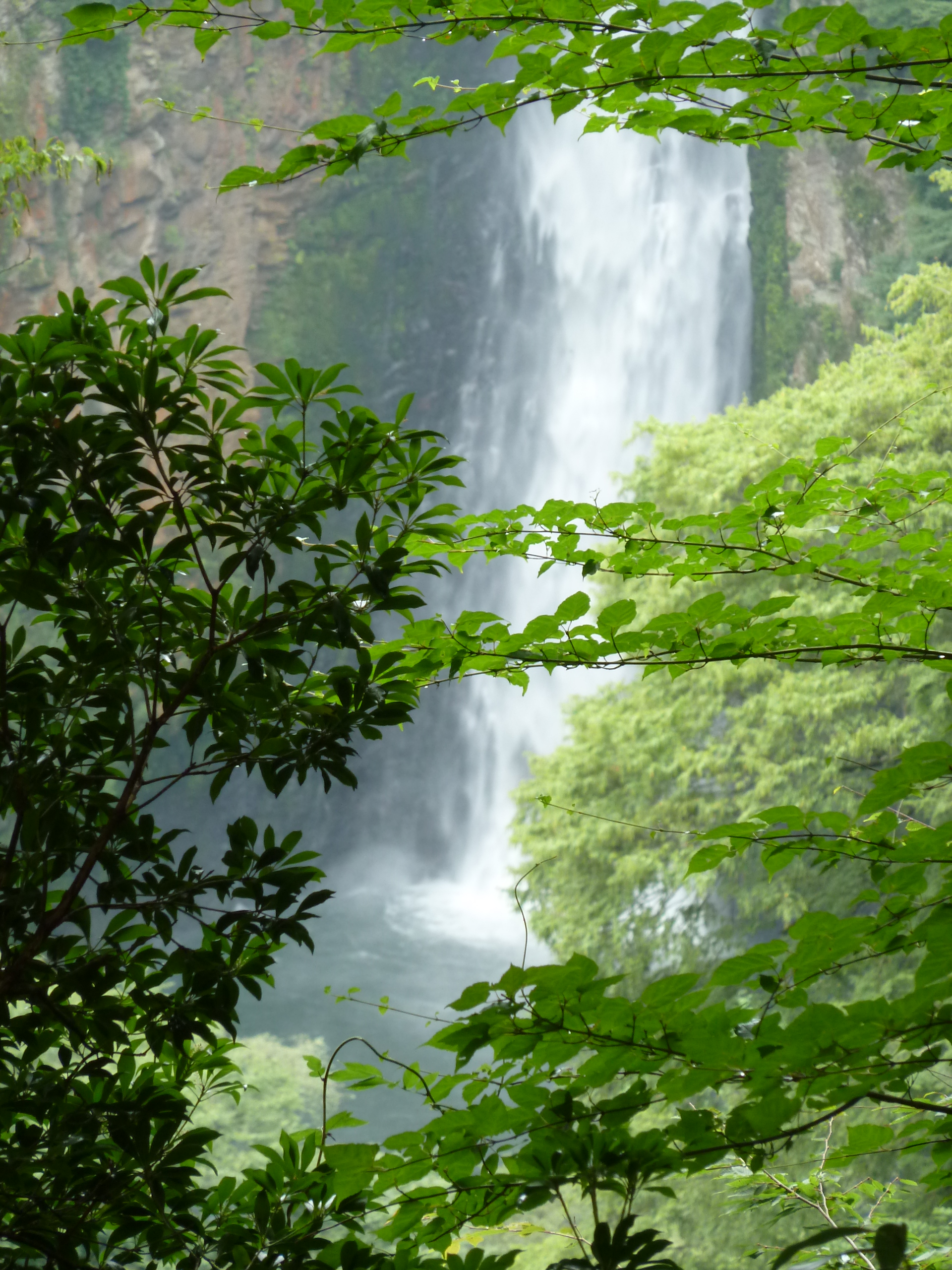 Www Midorimachi Jp Blog E9 9c 87 E5 8b 95 81 Ae E6 9d E5 A3 Ba Jpg