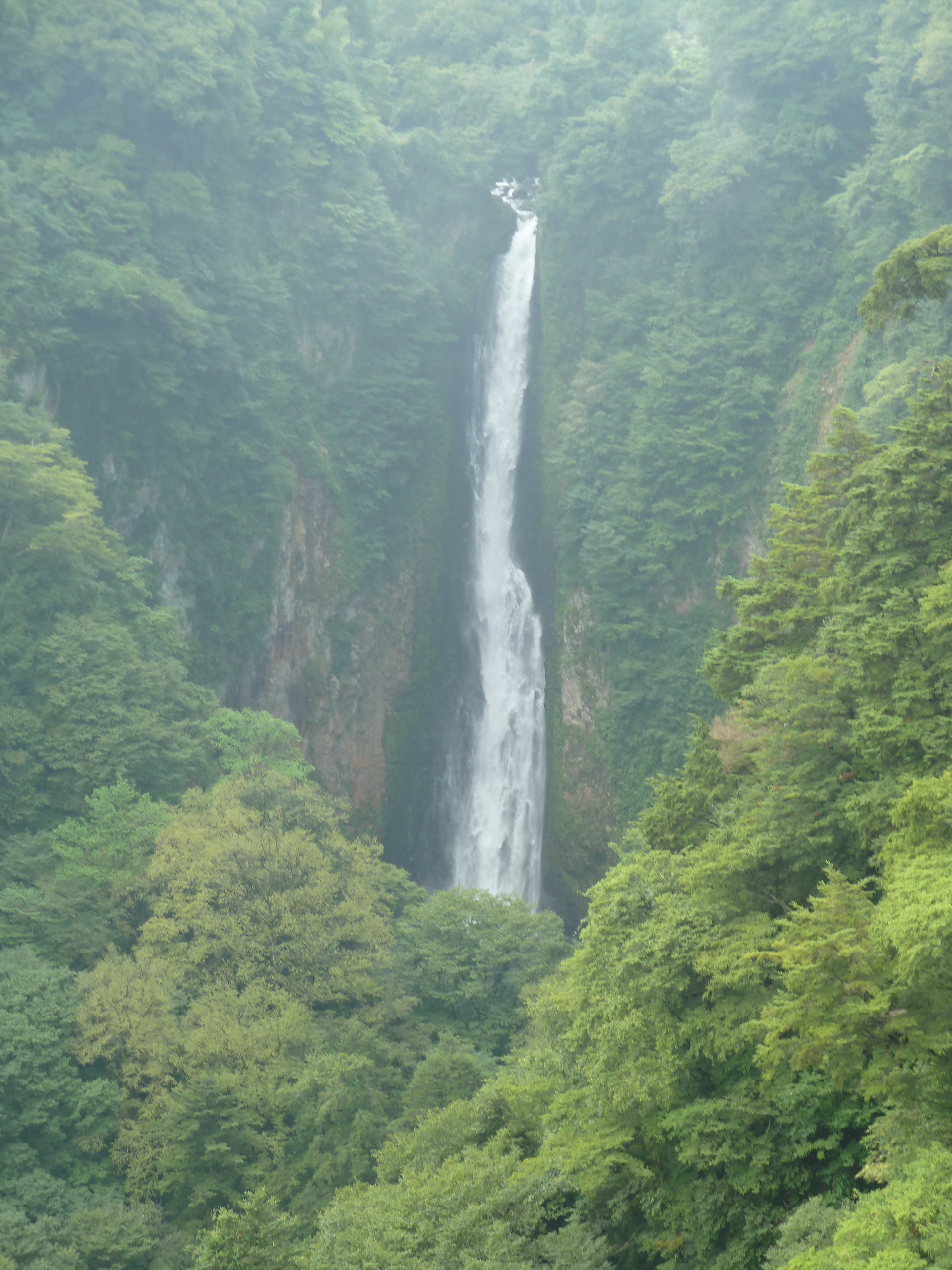 Www Midorimachi Jp Blog E9 9c 87 E5 8b 95 81 Ae E6 9d1 Jpg