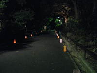 ８．４動植物園灯明 044.jpgのサムネール画像のサムネール画像