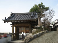 山門の右側が御会式桜.jpg