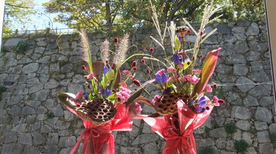 DSCF2583.JPG