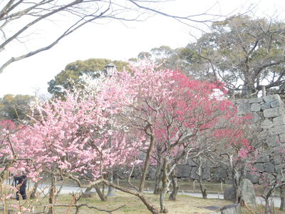 DSCN6761.JPG
