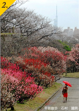 2.早朝散歩　石村　國男