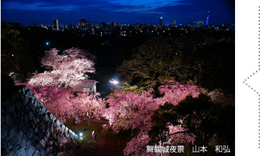 夜桜爛漫　萩尾　稔