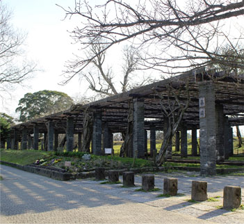 舞鶴公園藤園