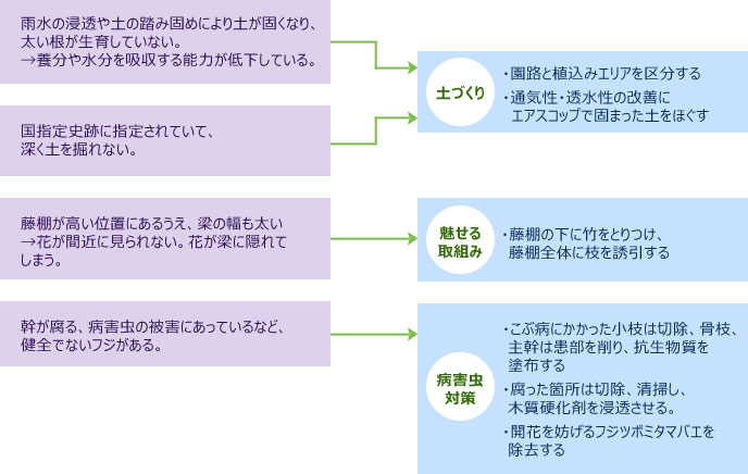 テニス屋外コート