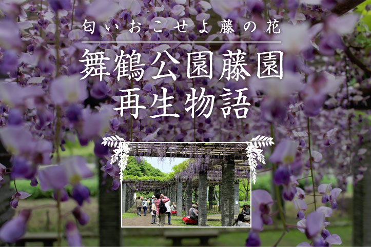 匂いおこせよ藤の花 舞鶴公園藤園再生物語