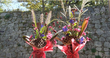 乾燥させた花托を舞鶴公園でフラワーア
レンジメント教室の花材に利用しています。