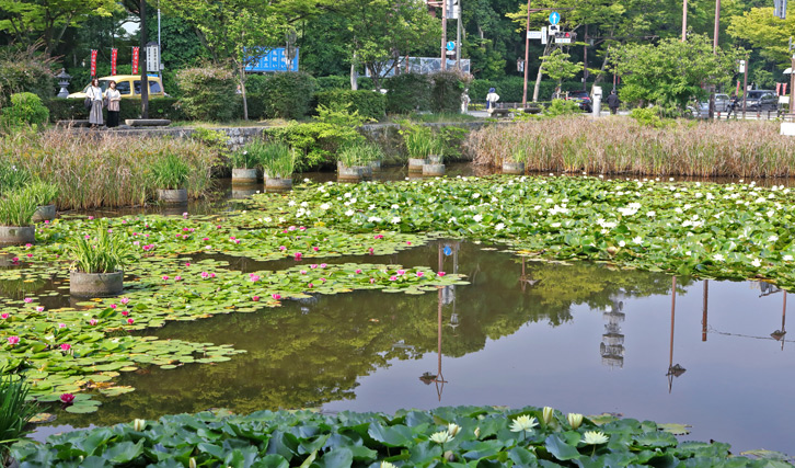 国体道路・護国神社前