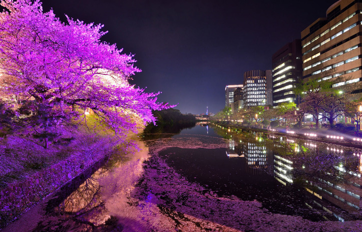 お堀の四季おりおり
～花と緑のまちかど写真コンテスト　受賞作品紹介～