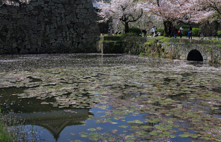 お堀の四季おりおり
～花と緑のまちかど写真コンテスト　受賞作品紹介～