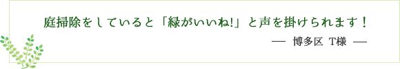 庭掃除をしていると「緑がいいね!」と声を掛けられます！博多区 T様