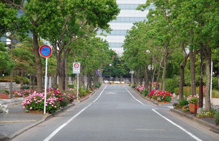 写真：シーサイド百道街路