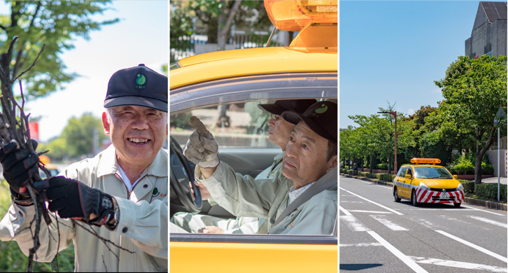 街路樹パトロールに密着！