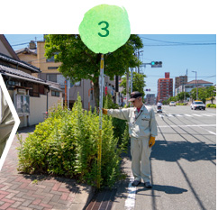 低木や高木の枝の高さをチェック。街路樹の大きさチェックは、福岡市全体の街路樹を適切に管理するはじめの一歩。パトロール隊の確認報告をもとに、高木を剪定する年次計画を修正しつつ剪定計画を策定していきます。