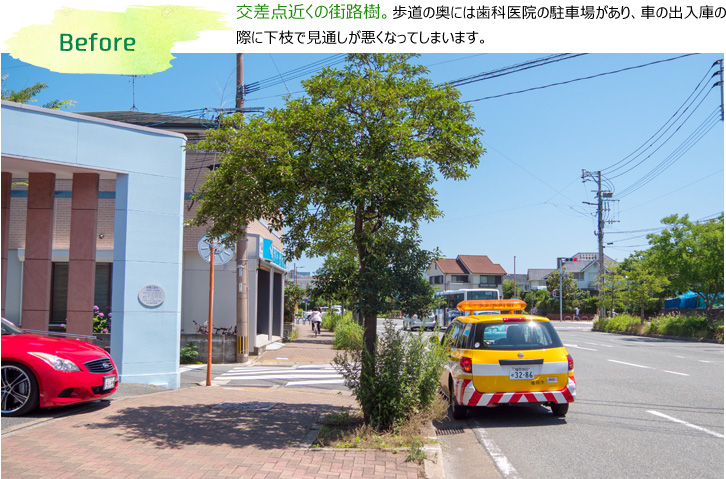 Before 交差点近くの街路樹。歩道の奥には歯科医院の駐車場があり、車の出入庫の
際に下枝で見通しが悪くなってしまいます。