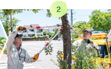 ここでも胴吹き・実生木が見られたため、あわせて除去しました。