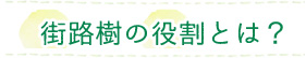 街路樹の役割とは？