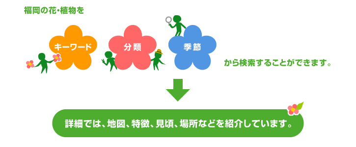 福岡の花・植物をキーワード、分類、季節から検索することができます。詳細では、地図、特徴、見頃、場所などを紹介しています。