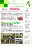 平成28年3月号