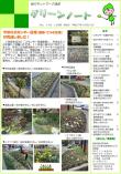 平成27年12月号