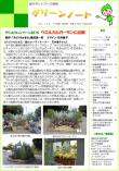 平成27年11月号
