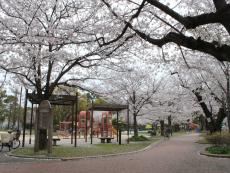 山王公園 公園等検索 緑のまちづくり 公益財団法人 福岡市緑のまちづくり協会