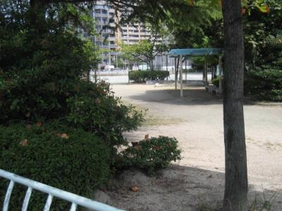香椎浜御幸公園