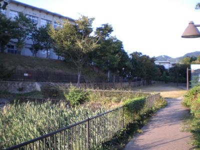 尾崎池公園