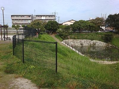 竜化池公園