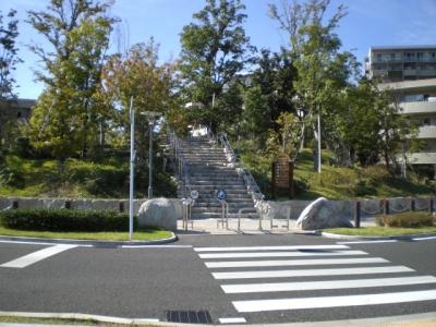 照葉の森公園