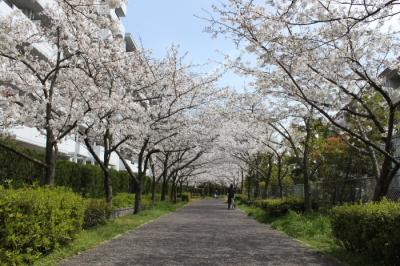 香椎浜Ａ−３線