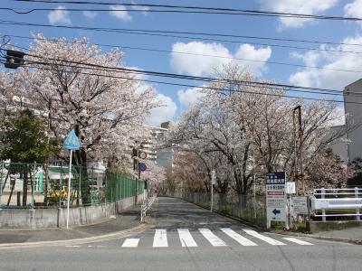 四箇田団地街路