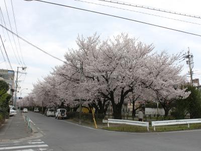 福岡早良大野線
