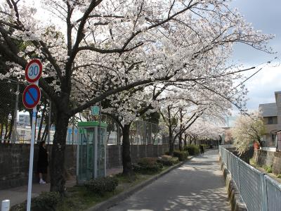 城南あいさつ通り