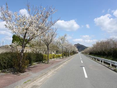 今津運動公園通り