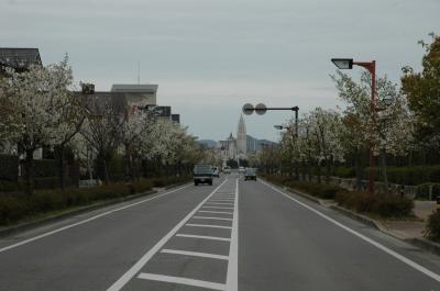 マリナタウン街路