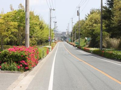 桧原柏原線