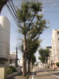 月見町線