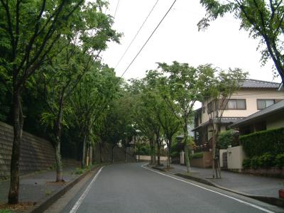 みどりが丘線
