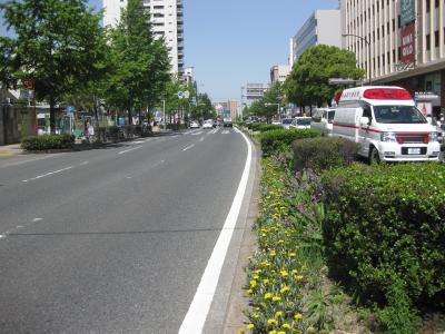 明治通り