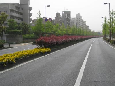 よかトピア通り