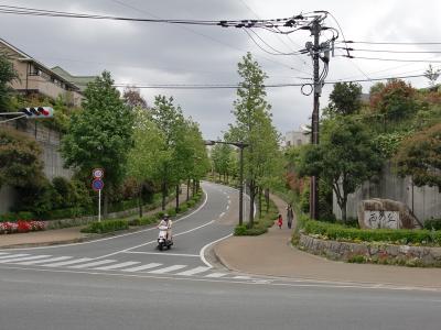 西の丘線