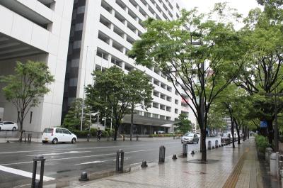市役所東通り