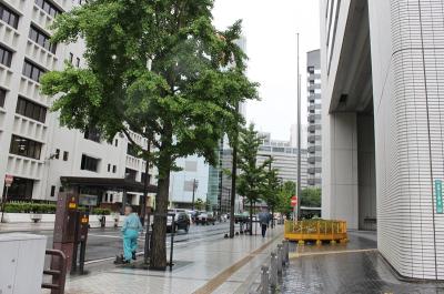 市役所南通り