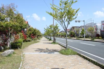 室見が丘地内各路線