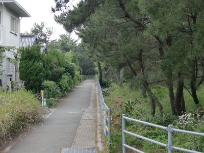 西浦今宿自転車道路